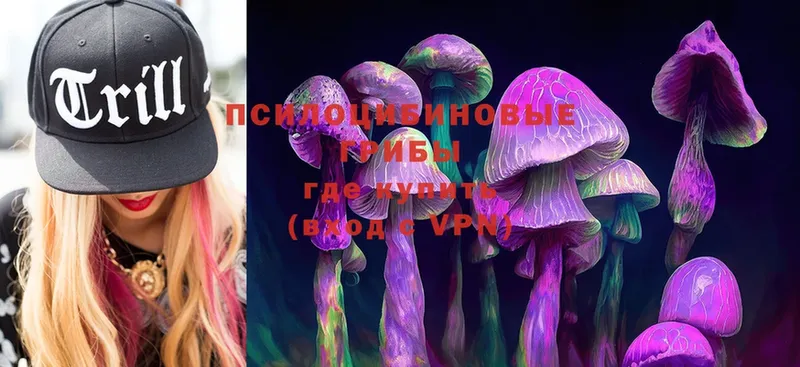 Псилоцибиновые грибы Magic Shrooms  ОМГ ОМГ сайт  мориарти клад  Динская 