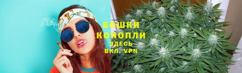 Бошки марихуана SATIVA & INDICA  Динская 